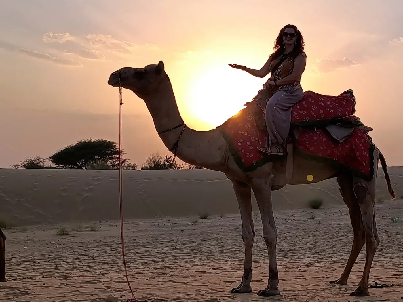Arancha sobre un camello al atardecer en el desierto